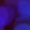Bokeh-300